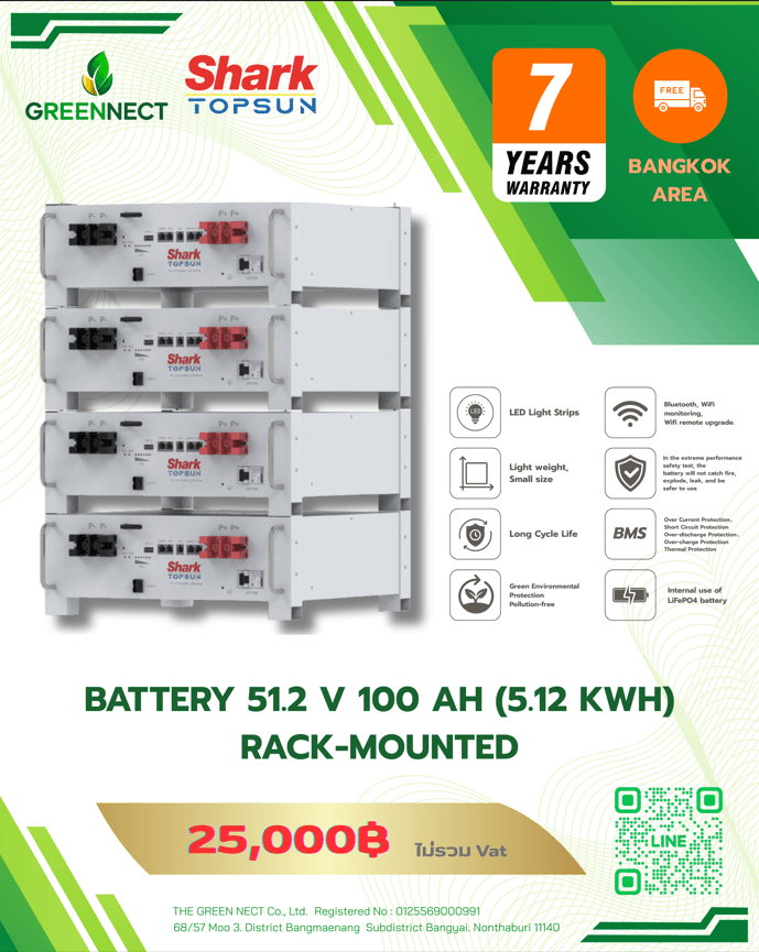 Battery 51.2 V 100 Ah (5.12 kWh)